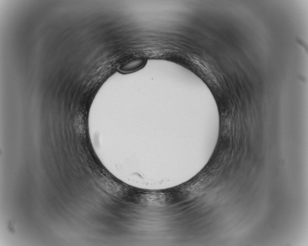 X0000095880317200802081101