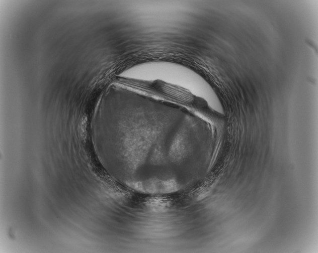 X0000095880319200802081101