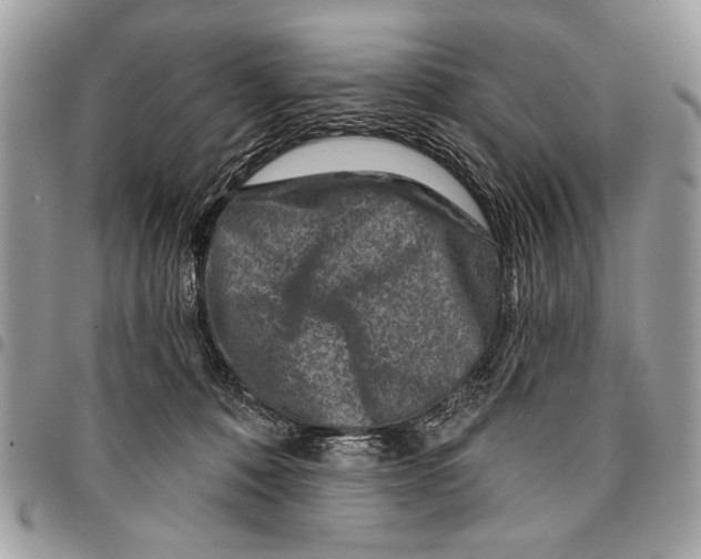 X0000095880320200802081101