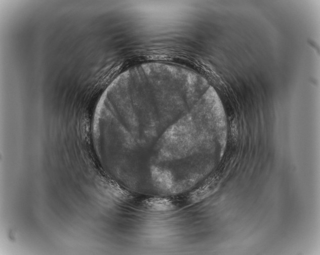 X0000095880322200802081101