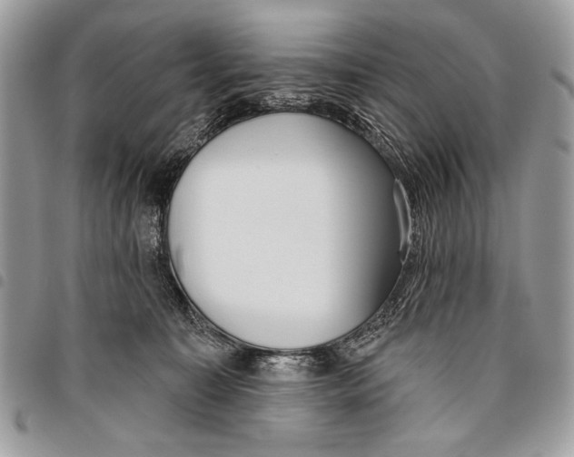 X0000095880323200802081101