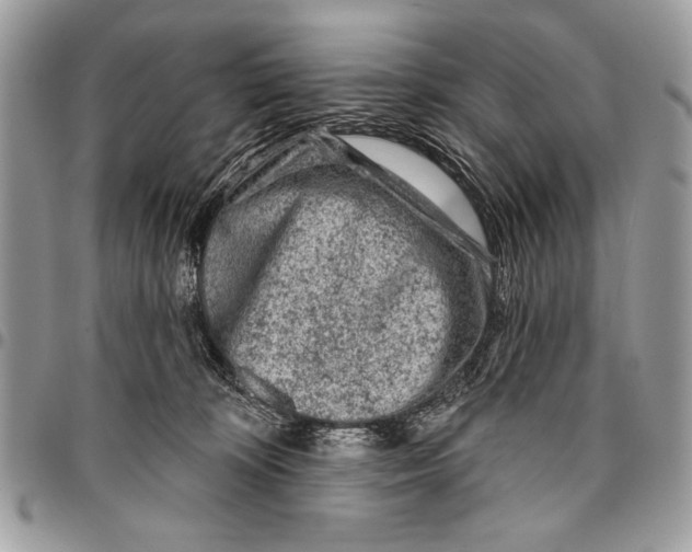 X0000095880324200802081101