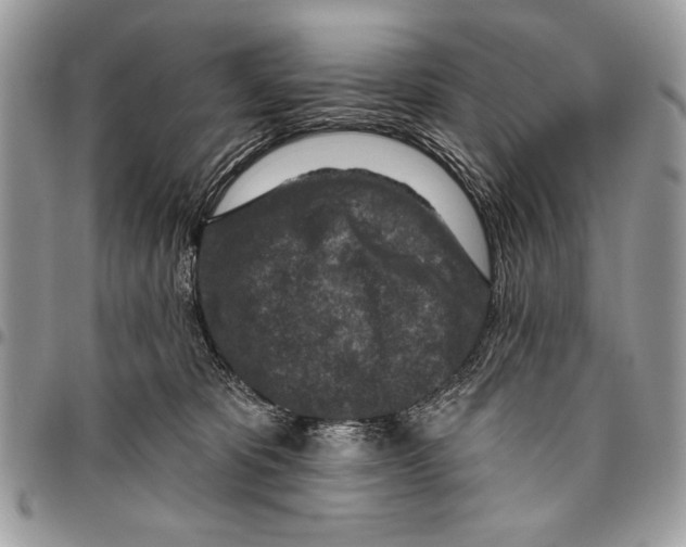 X0000095880325200802081101