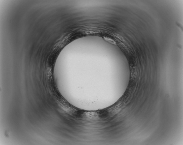 X0000095880327200802081101