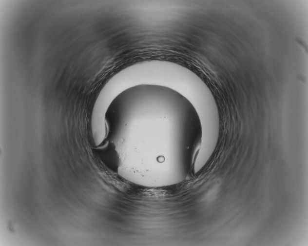 X0000095880328200802081101