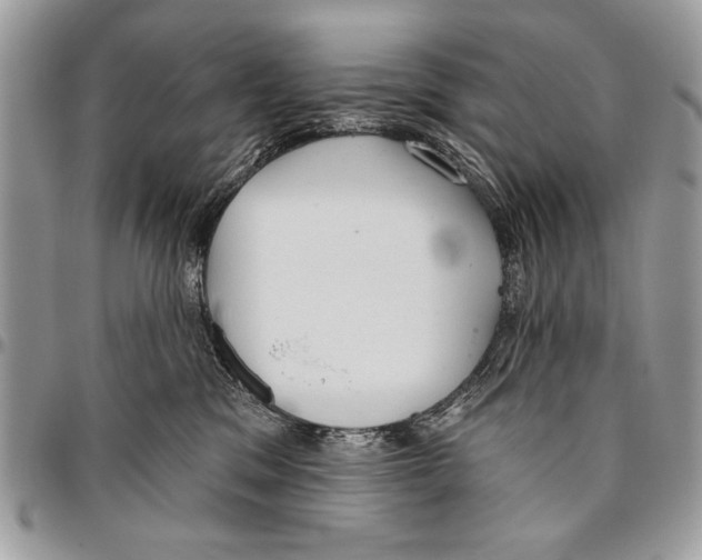 X0000095880329200802081101