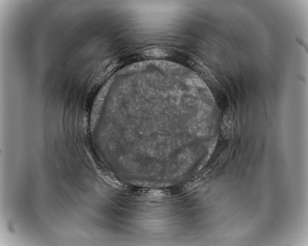 X0000095880330200802081101