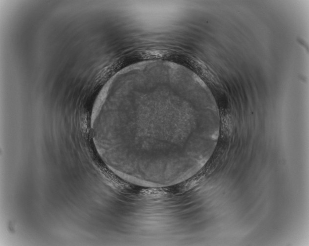 X0000095880331200802081101