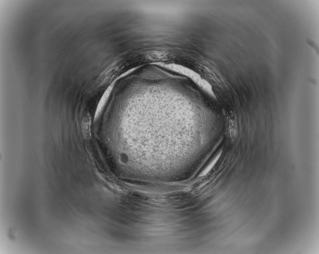 X0000095880332200802081101