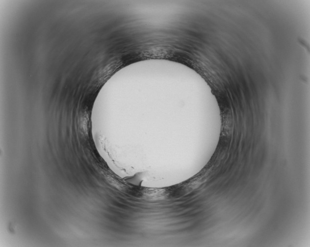 X0000095880334200802081101