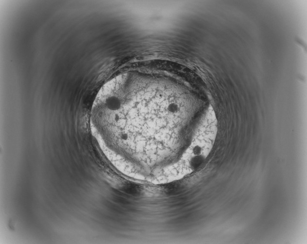 X0000095880336200802081101