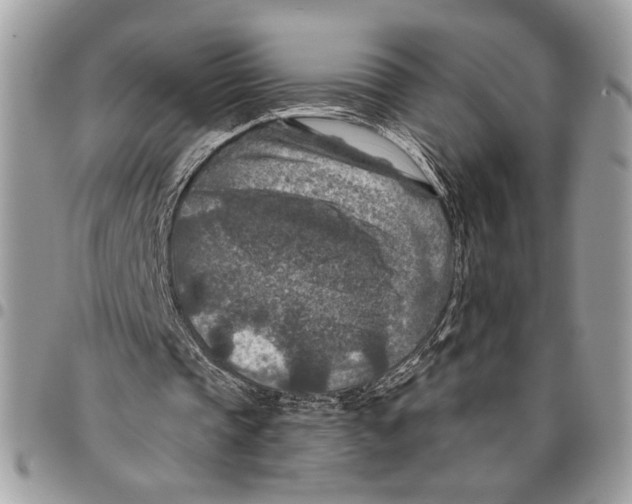 X0000095880337200802081100