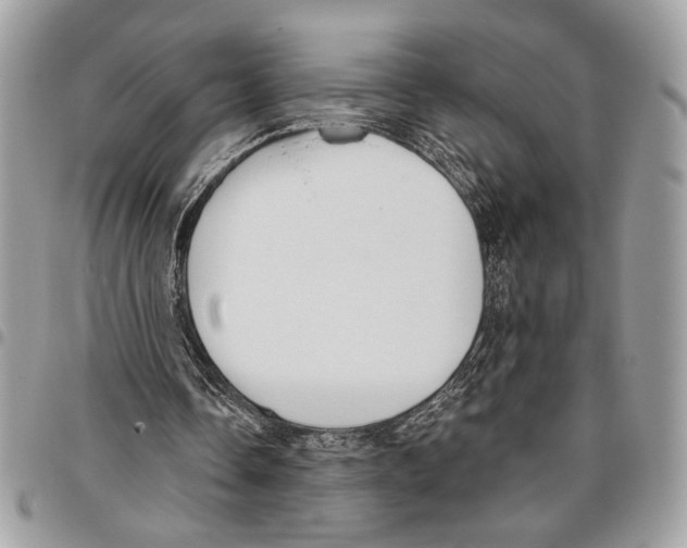 X0000095880338200802081100