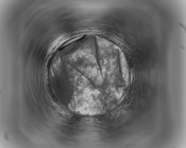 X0000095880339200802081100