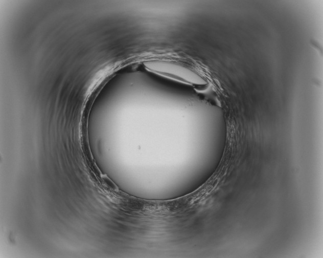 X0000095880340200802081100