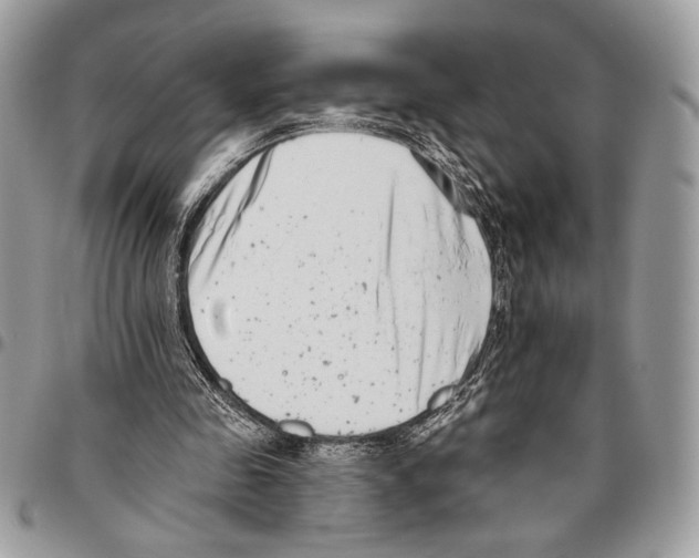 X0000095880341200802081100