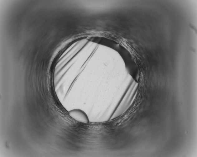 X0000095880342200802081100