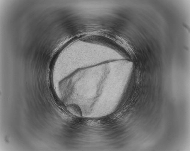 X0000095880346200802081100