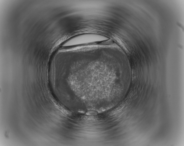 X0000095880349200802081100