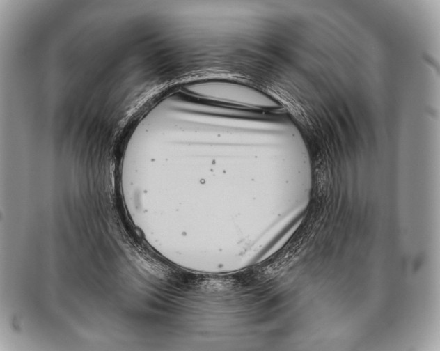 X0000095880350200802081100