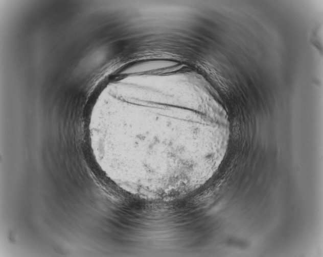 X0000095880351200802081100