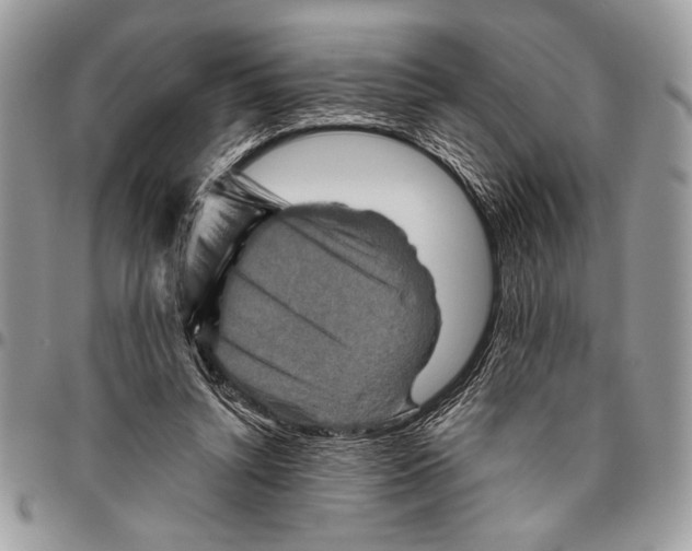 X0000095880352200802081100