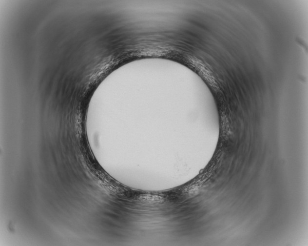 X0000095880354200802081100