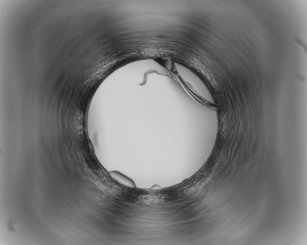 X0000095880356200802081100