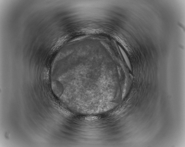 X0000095880357200802081100