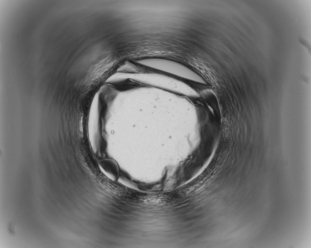 X0000095880358200802081100