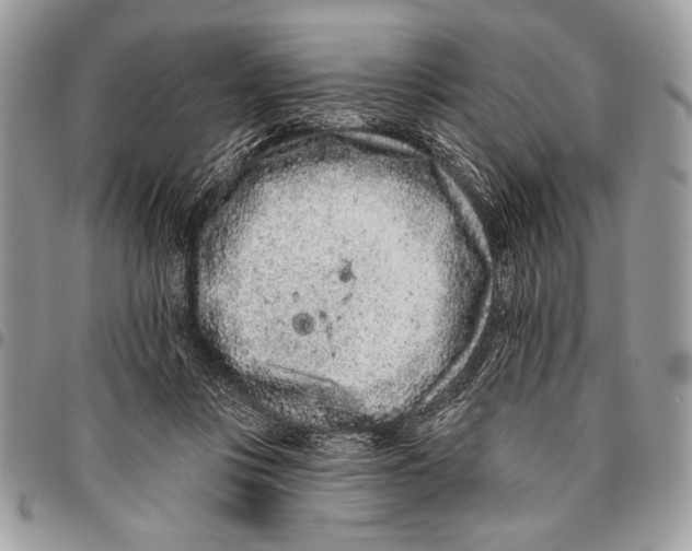 X0000095880359200802081100