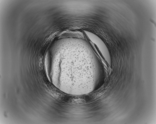 X0000095880360200802081100