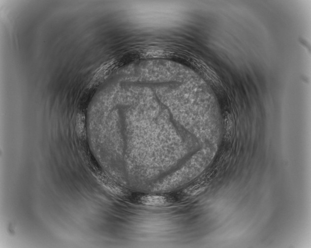 X0000095880361200802081100