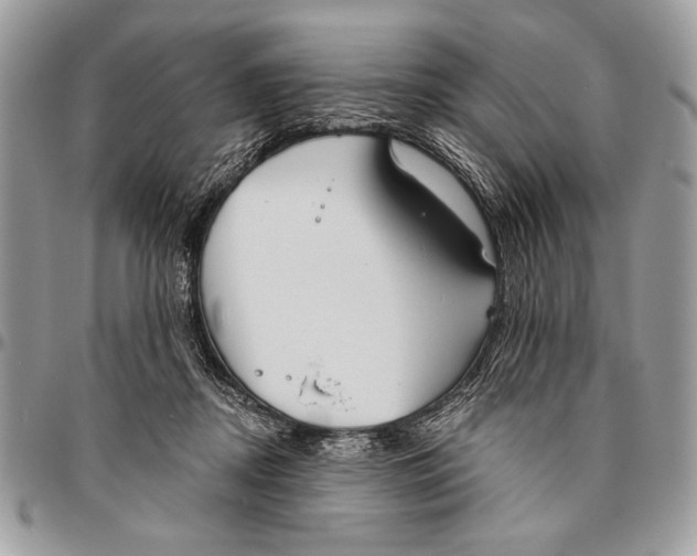 X0000095880362200802081100