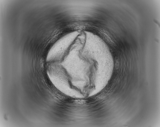 X0000095880363200802081100