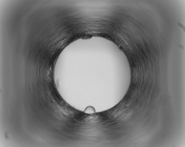 X0000095880364200802081100