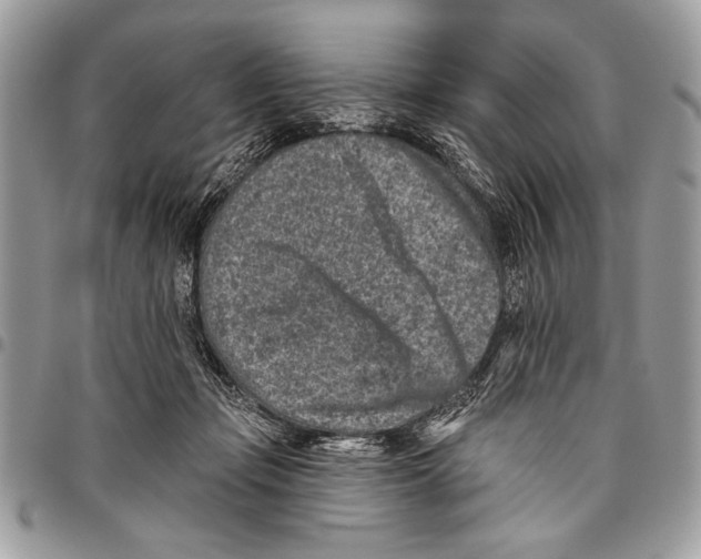 X0000095880365200802081100