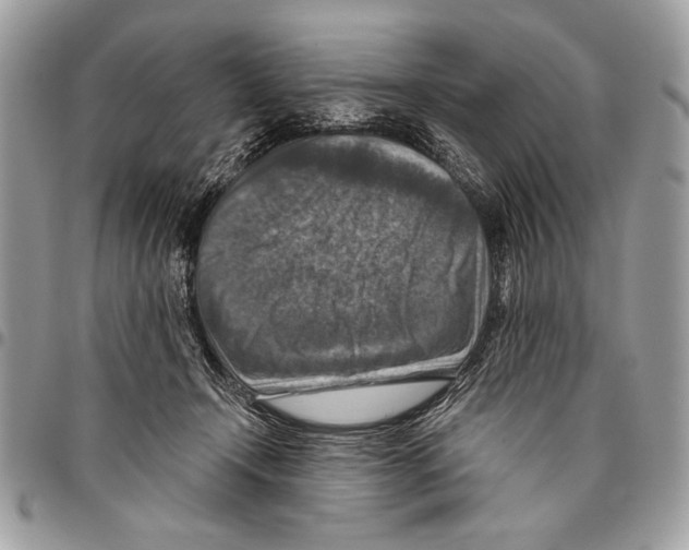 X0000095880366200802081100