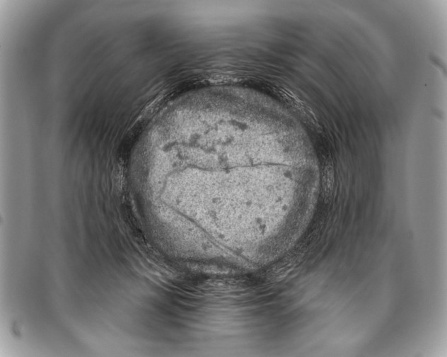 X0000095880367200802081100