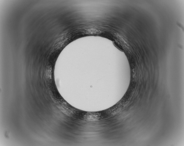 X0000095880368200802081100