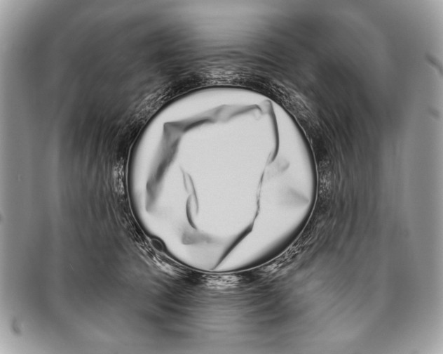 X0000095880369200802081100