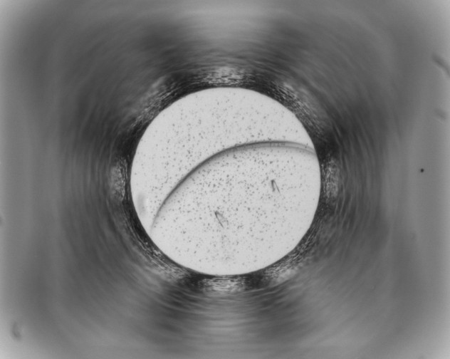 X0000095880370200802081100