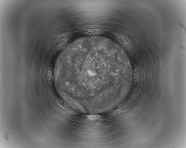 X0000095880371200802081100