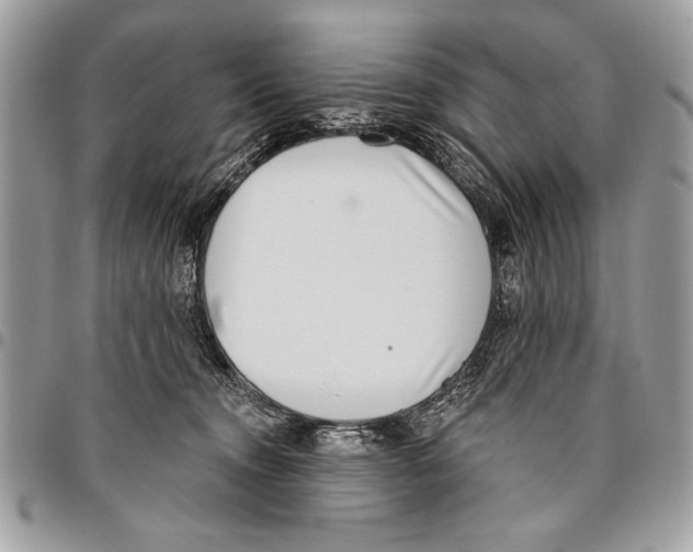 X0000095880372200802081100