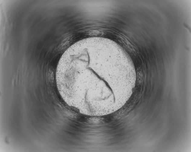 X0000095880375200802081100