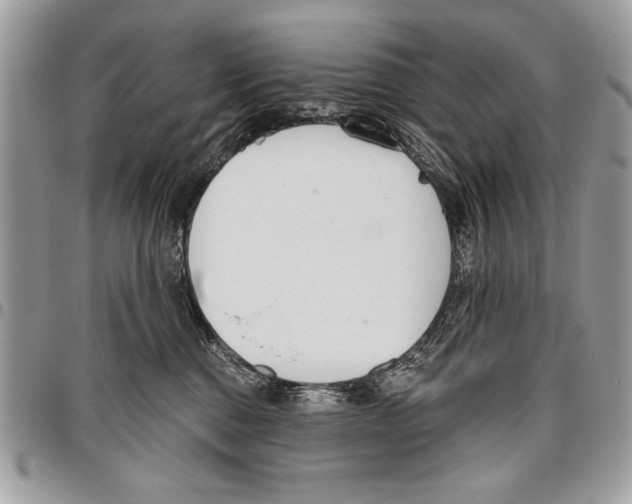 X0000095880376200802081100