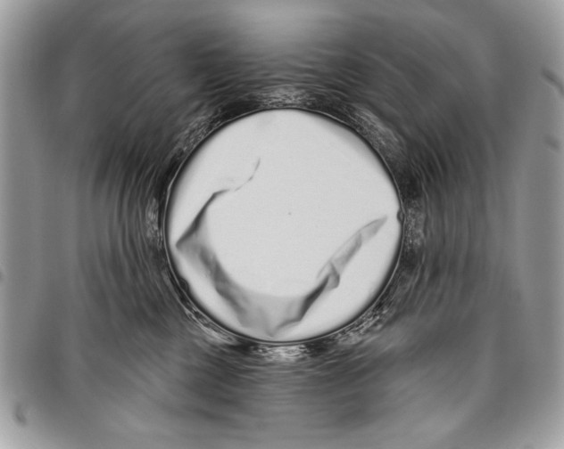 X0000095880377200802081100