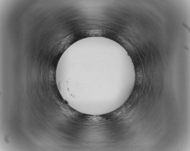 X0000095880379200802081100