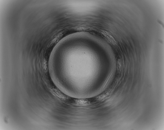 X0000095880380200802081100