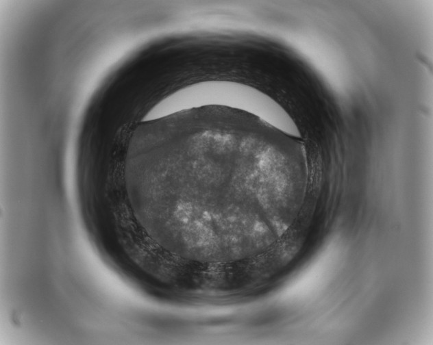 X0000095880383200802081100